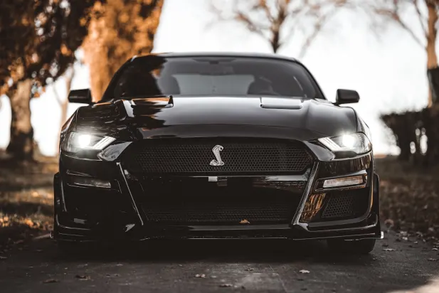 Lapilanders Casino App Android/iOS